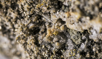 Zlatinka velikosti 1,2 mm